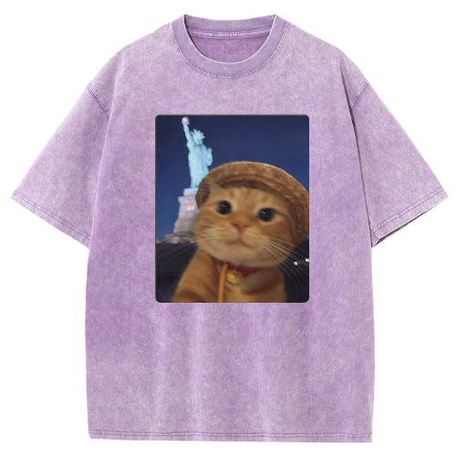 Paris Victory Cat Washed T-shirt - Image 5