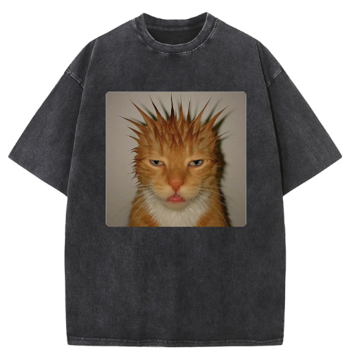 Wild Hair Cat Washed T-shirt