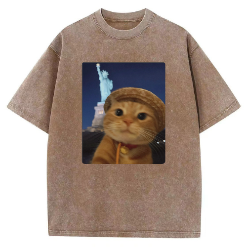 Paris Victory Cat Washed T-shirt - Image 4